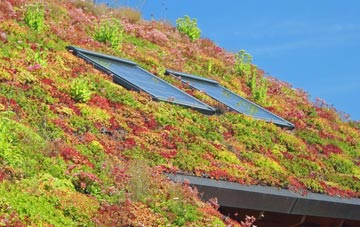 Chetwode living roof systems